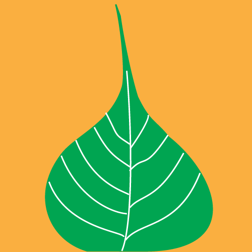 icon-01-1